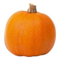 Κολοκύθα Jack O lantern ΒΙΟ