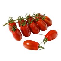 Tomato Mini San Marzano ΒΙΟ