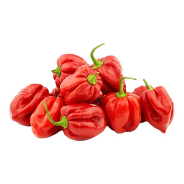 Πιπεριές Red Habanero [Συμβατικά]