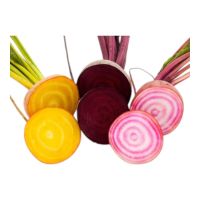 Παντζάρια Χρωματιστά ΒΙΟ