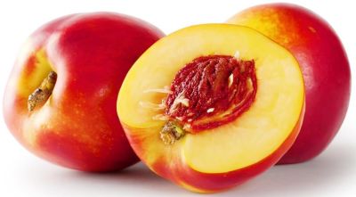Organic Nectarines