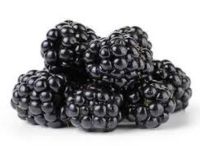 Blackberry BIO