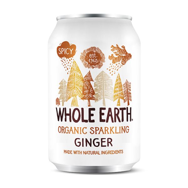 Ginger Soda No Added Sugar