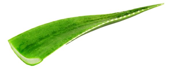Φύλλο Αλόης BIO