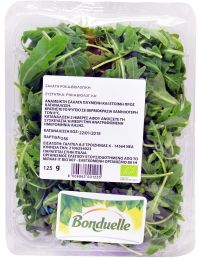 Organic Arugula Salad