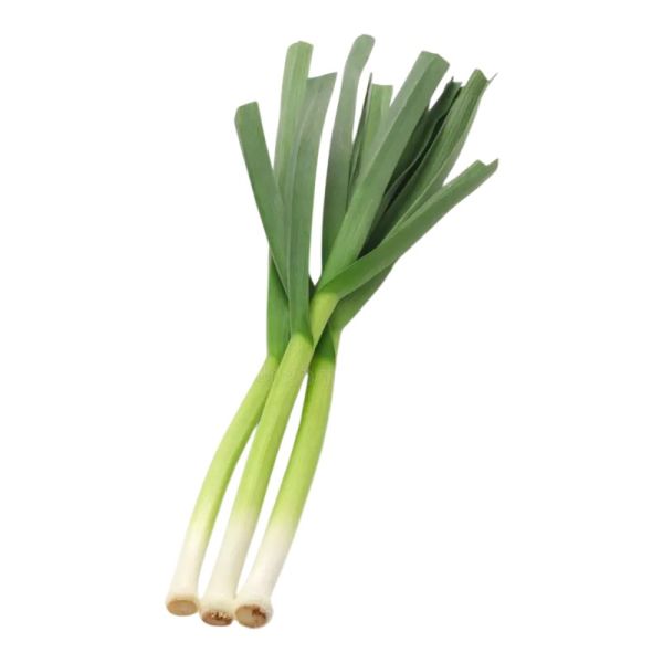 Fresh Organic Garlic