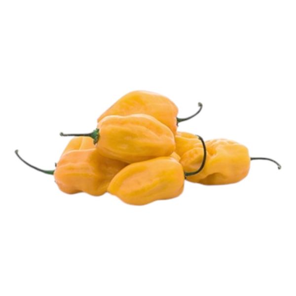 Πιπεριές Yellow Habanero BIO