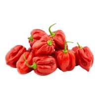 Πιπεριές Red Habanero [Συμβατικά]