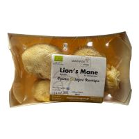 Μανιτάρια Lions Mane ΒΙΟ