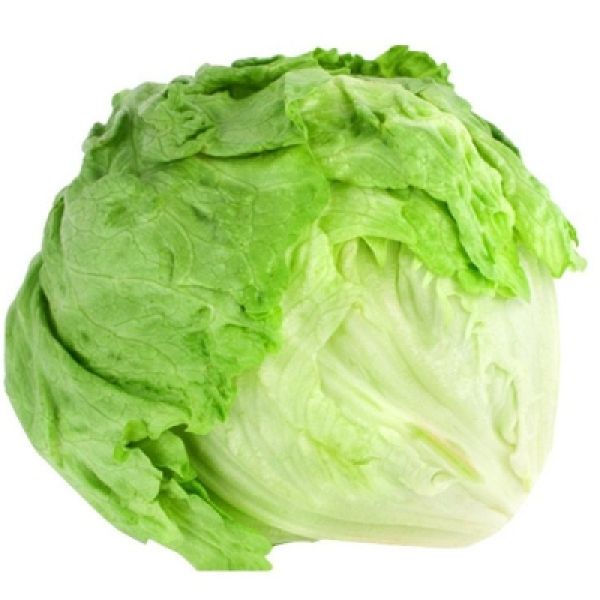 Μαρούλι Iceberg BIO