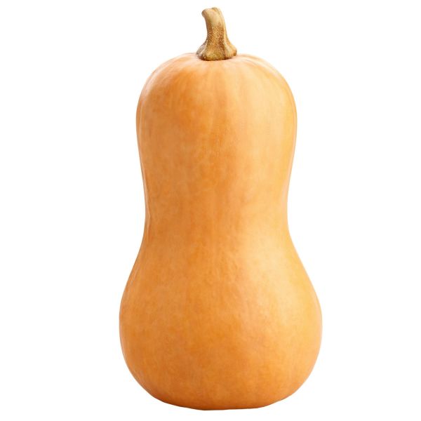 Κολοκύθα (Butternut) ΒΙΟ