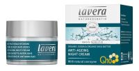 Q10 Night Cream