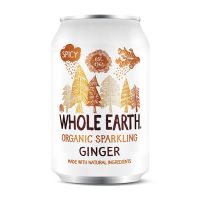 Ginger Soda No Added Sugar