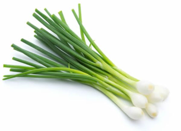 Fresh Organic Spring Onions
