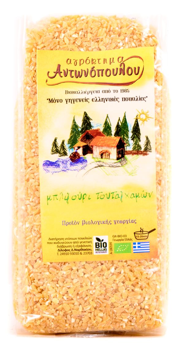 Πλιγούρι Τουταγχαμών