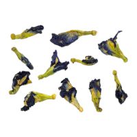Butterfly Blue Tea Flower (Mood & Sleep, Weight Loss)
