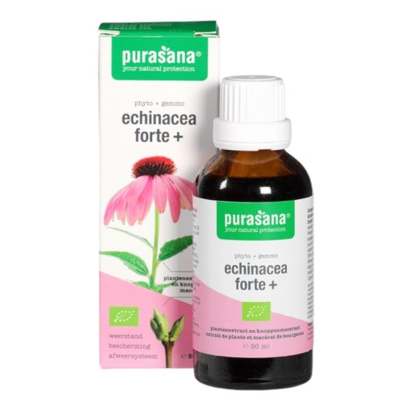 Echinacea-forte+