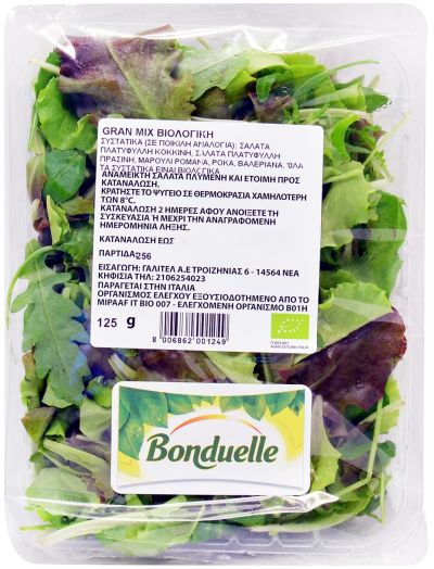 Σαλάτα Gran Mix BIO